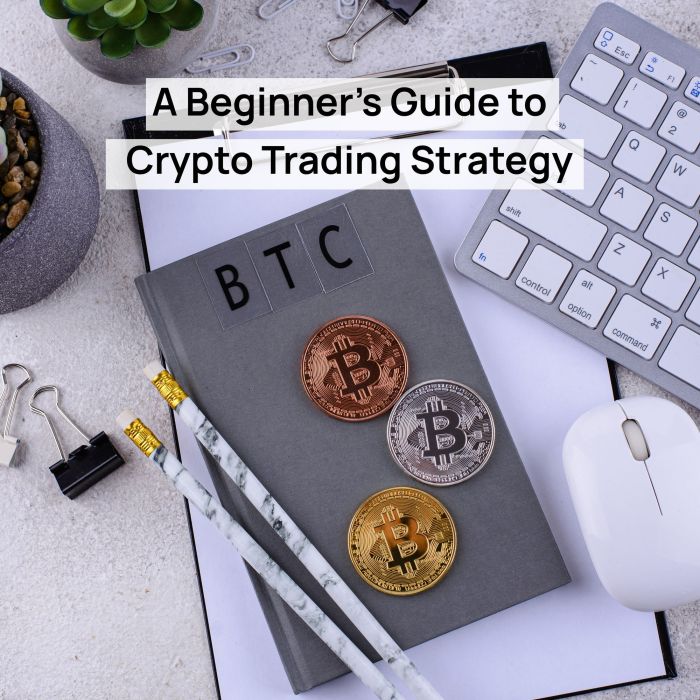 A Beginner’s Guide to Crypto Trading Strategy